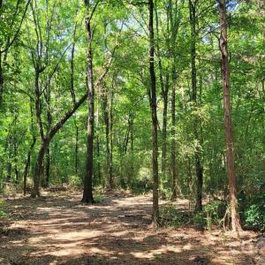 Photo #6 of 7908 Concord, Monroe, NC