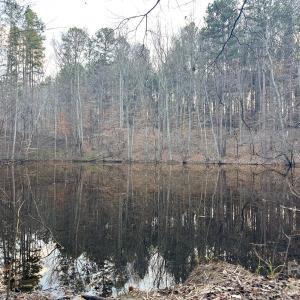 Photo #15 of Kepley, Salisbury, NC