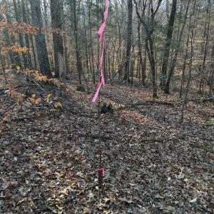 Photo #11 of Kepley, Salisbury, NC