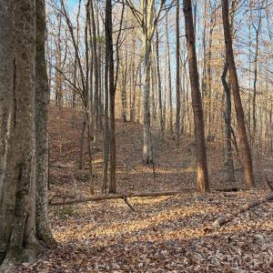 Photo #9 of Kepley, Salisbury, NC