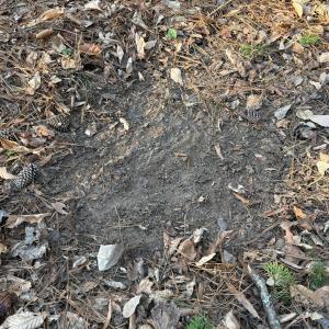 Photo #7 of Kepley, Salisbury, NC