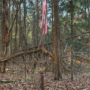 Photo #10 of Kepley, Salisbury, NC