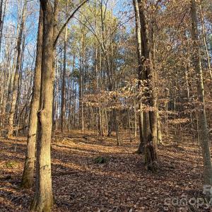 Photo #6 of Kepley, Salisbury, NC