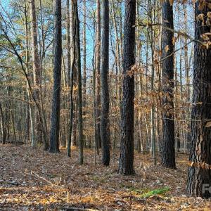 Photo #5 of Kepley, Salisbury, NC