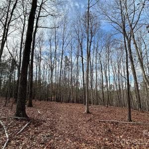 Photo #34 of 1111 Countryside, Blackstock, SC