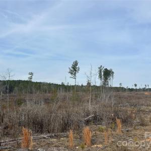 Photo #21 of 1111 Countryside, Blackstock, SC