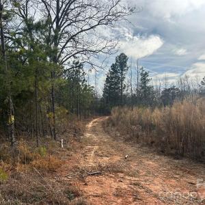 Photo #22 of 1111 Countryside, Blackstock, SC