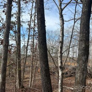 Photo #45 of 1111 Countryside, Blackstock, SC