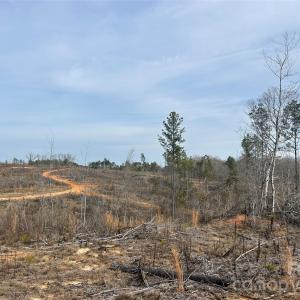 Photo #20 of 1111 Countryside, Blackstock, SC