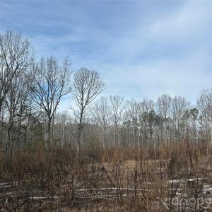 Photo #39 of 1111 Countryside, Blackstock, SC