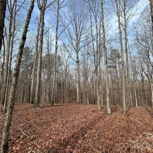 Photo #35 of 1111 Countryside, Blackstock, SC