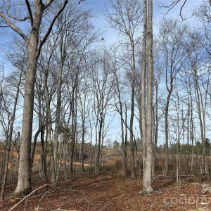 Photo #48 of 1111 Countryside, Blackstock, SC