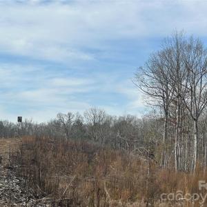 Photo #43 of 1111 Countryside, Blackstock, SC