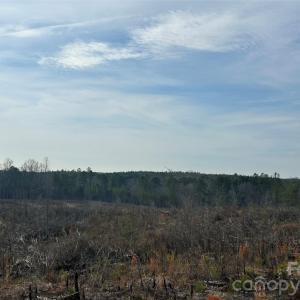 Photo #3 of 1111 Countryside, Blackstock, SC