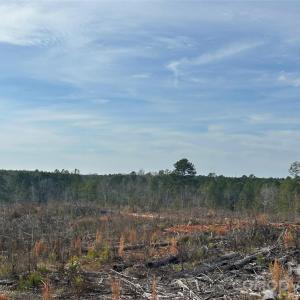 Photo #11 of 1111 Countryside, Blackstock, SC