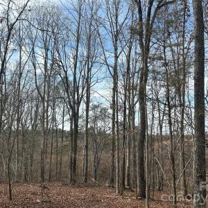 Photo #31 of 1111 Countryside, Blackstock, SC