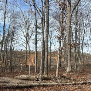 Photo #47 of 1111 Countryside, Blackstock, SC