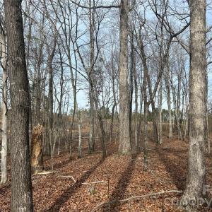 Photo #30 of 1111 Countryside, Blackstock, SC