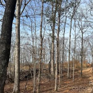 Photo #46 of 1111 Countryside, Blackstock, SC