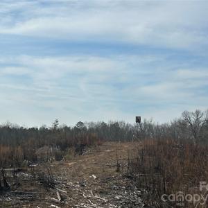 Photo #42 of 1111 Countryside, Blackstock, SC