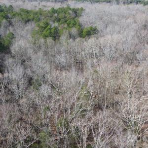 Photo #10 of Old Union Church, Salisbury, NC