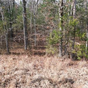 Photo #14 of Old Union Church, Salisbury, NC