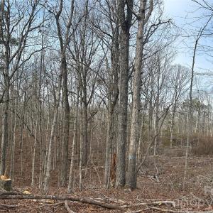 Photo #17 of 33 Ac Lot A Countryside, Blackstock, SC