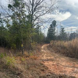 Photo #2 of 33 Ac Lot A Countryside, Blackstock, SC