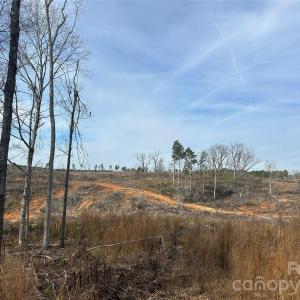 Photo #6 of 33 Ac Lot A Countryside, Blackstock, SC