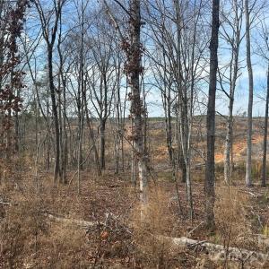 Photo #8 of 33 Ac Lot A Countryside, Blackstock, SC