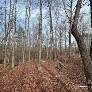 Photo #16 of 33 Ac Lot A Countryside, Blackstock, SC