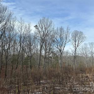 Photo #18 of 33 Ac Lot A Countryside, Blackstock, SC