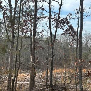 Photo #24 of 33 Ac Lot A Countryside, Blackstock, SC