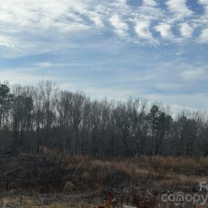 Photo #12 of 33 Ac Lot A Countryside, Blackstock, SC
