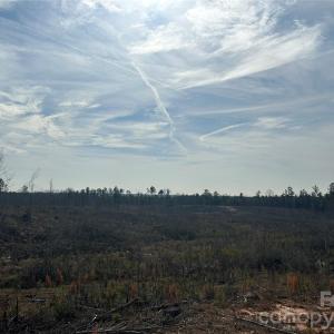 Photo #11 of 33 Ac Lot B Countryside, Blackstock, SC