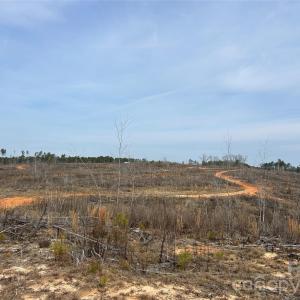 Photo #24 of 33 Ac Lot B Countryside, Blackstock, SC