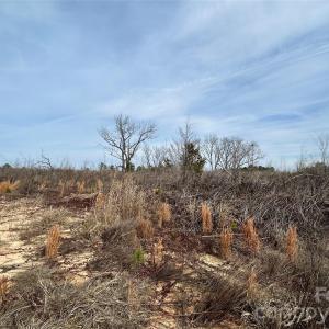 Photo #15 of 33 Ac Lot B Countryside, Blackstock, SC