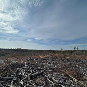 Photo #8 of 33 Ac Lot C Countryside, Blackstock, SC