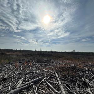 Photo #9 of 33 Ac Lot C Countryside, Blackstock, SC