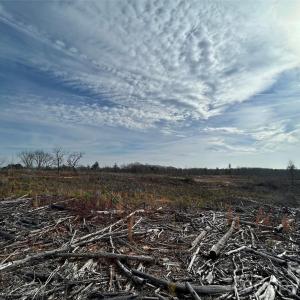 Photo #10 of 33 Ac Lot C Countryside, Blackstock, SC