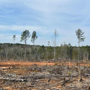 Photo #13 of 33 Ac Lot C Countryside, Blackstock, SC