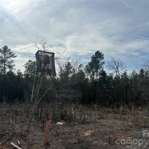 Photo #17 of 33 Ac Lot C Countryside, Blackstock, SC