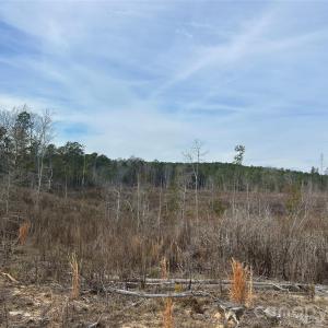 Photo #21 of 33 Ac Lot C Countryside, Blackstock, SC