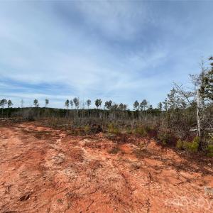 Photo #6 of 33 Ac Lot C Countryside, Blackstock, SC