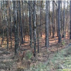 Photo #20 of 8066 Gulf Creek, Lancaster, SC