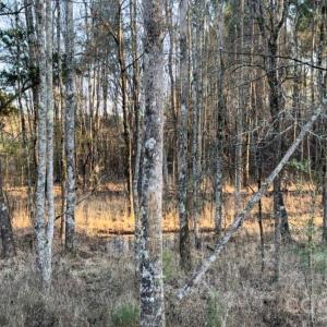 Photo #4 of 8066 Gulf Creek, Lancaster, SC