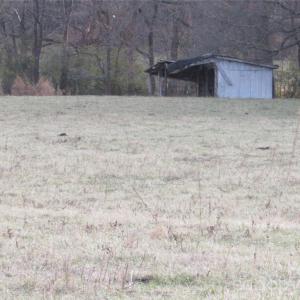 Photo #5 of 1212 Marshville Olive Branch, Marshville, NC