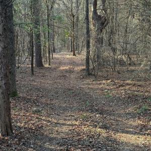 Photo #13 of Rehobeth, Waxhaw, NC