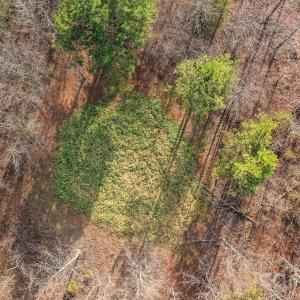 Photo #22 of TBD Upright, Mt Ulla, NC