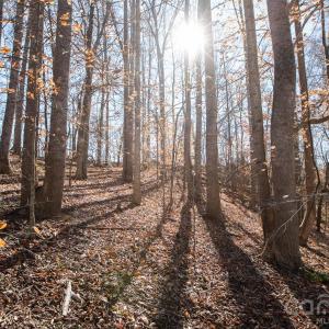 Photo #33 of TBD Upright, Mt Ulla, NC